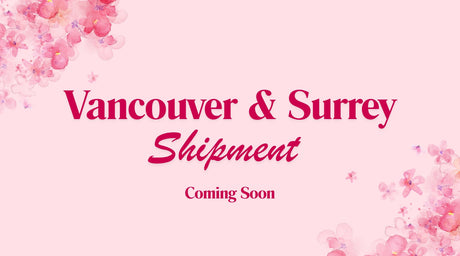 Surrey Store Special – New Collection Arriving Soon! ✨